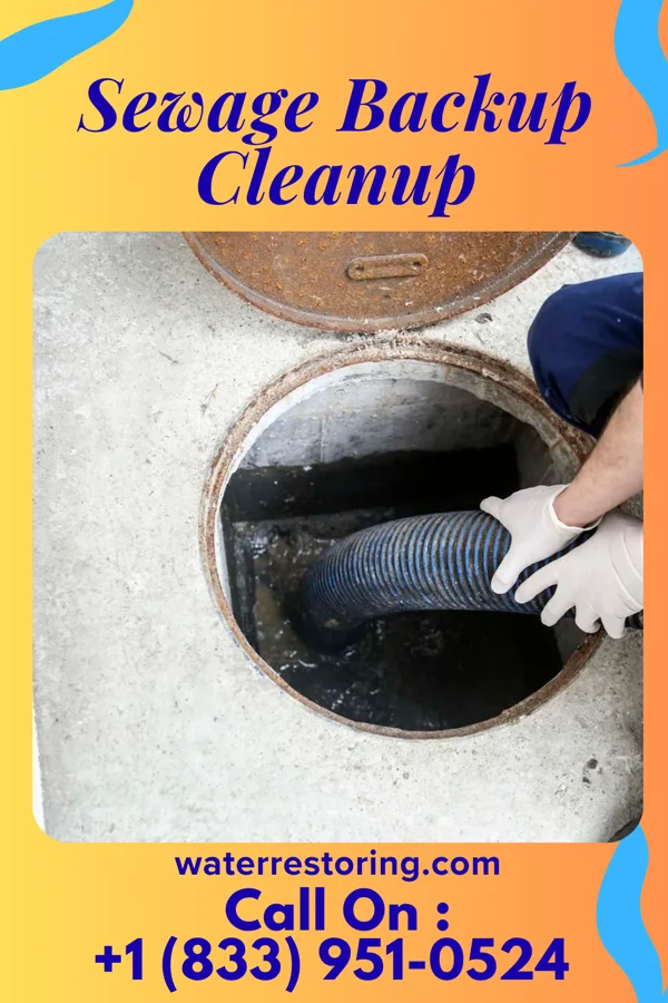 Sewage Backup Cleanup in South Miami Heights, FL